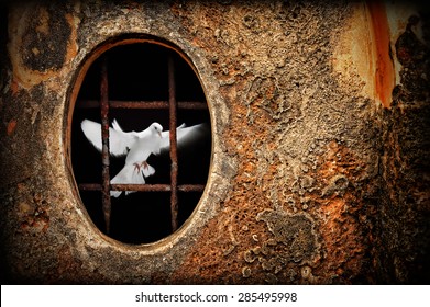 Old Dungeon And White Dove As Symbol Of Freedom Illustration