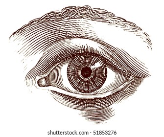 Old Engraving Illustration Of Open Human Eye