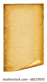 Blank Ancient Scroll 05 Stock Illustration 18254263