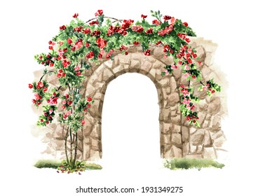 Old stone arch with wild climbing roses. Hand drawn watercolor illustration isolated on white background