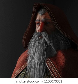 Old Wizard 3d Illustration