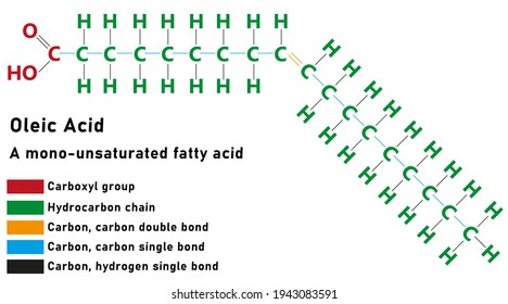 2,965 Oleic Acid Images, Stock Photos & Vectors | Shutterstock