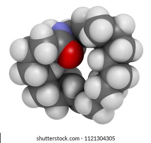 peroxisome Images; Stock Photos & Vectors | Shutterstock