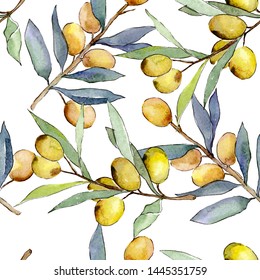 Olive Branch Green Fruit Watercolor Background Stock Illustration ...