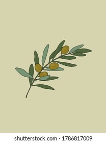 olive branch green peace illustration