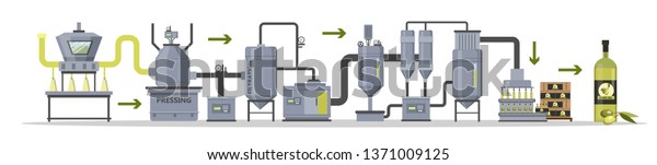Olive Oil Production Manufacture Process Stages Stock Illustration 1371009125 
