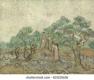 The Olive Orchard, by Vincent van Gogh, 1889, Dutch Post-Impressionist painting, oil on canvas. In the olive trees, the expressive power of their ancient and gnarled forms, Van Gogh found a manifesta