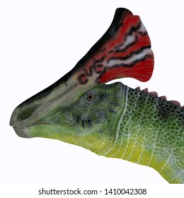 Olorotitan Dinosaur Head 3D illustration - Olorotitan was a duckbill crested herbivorous dinosaur that lived in Russia during the Cretaceous Period.