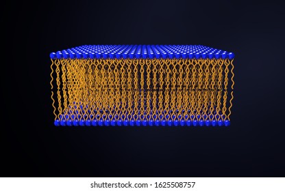 Omega-3 Phospholipid Skin Cell Membrane Lipid Layer Structure. 3D Rendering Medical Illustration