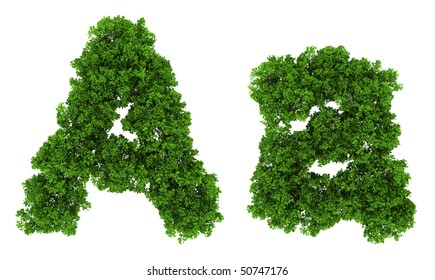 On Top View Tree  Forest  High Detail Font