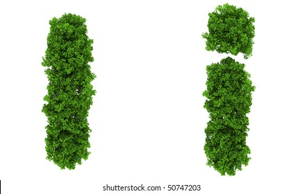 on top view tree  forest  high detail font