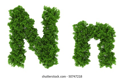 On Top View Tree  Forest  High Detail Font