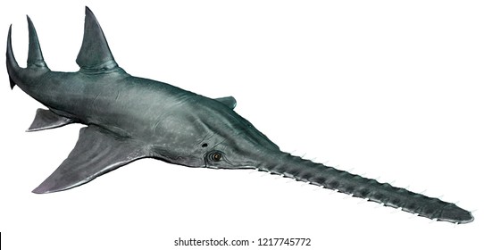 Onchopristis 3D Illustration