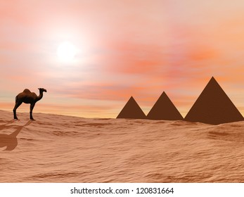 One camel standing in front of three mysterious pyramids in the desert by sunset