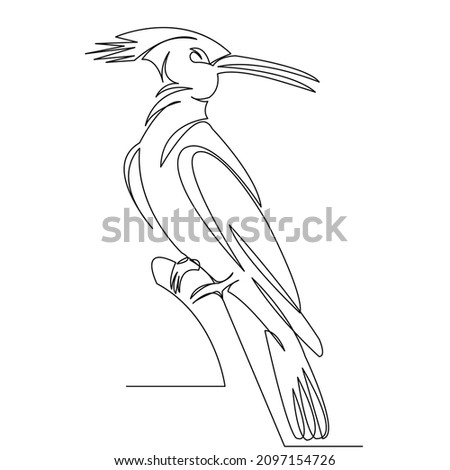 One continuous single drawing line art flat doodle bird, animal, nature, wildlife, wild, wing, exotic. Isolated image hand draw contour on a white background