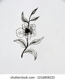 One Flower On A Stem With Leaves Sketch. Modern Liner Drawing