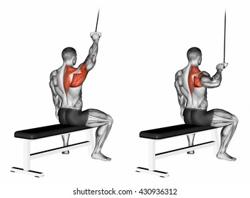 One Handed Lat Pulldown 3d Illustration Stock Illustration 430936312 ...