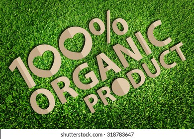 One Hundred Percent Organic Product Word. Paper Cut Of Eco On Green Grass.