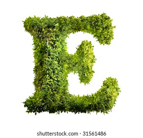 One Letter Bush Alphabet Stock Illustration 31561489