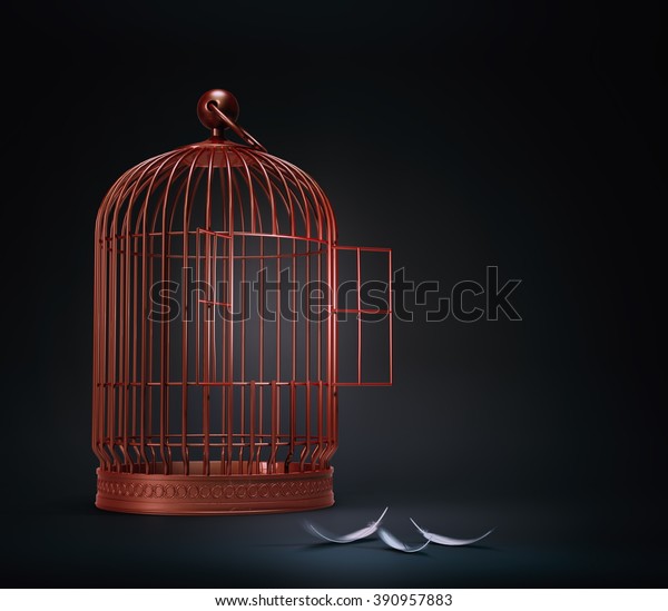 Open Bird Cage Feathers Freedom Concept Stock Illustration 390957883 ...