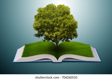 Open Book Paper Recycling Concept 3d Stock Illustration 704260510 ...