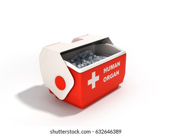 Open Human Organ Refrigerator Box Red 3d Render On White 