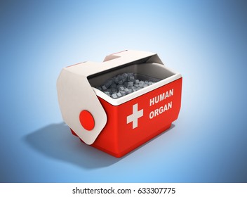 Open Human Organ Refrigerator Box Red 3d Render On Blue