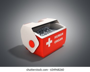 Open Human Organ Refrigerator Box Red 3d Render On Grey