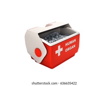 Open Human Organ Refrigerator Box Red 3d Render No Shadow