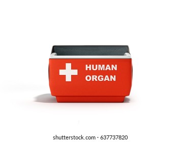 Open Human Organ Refrigerator Box Red 3d Render On White 