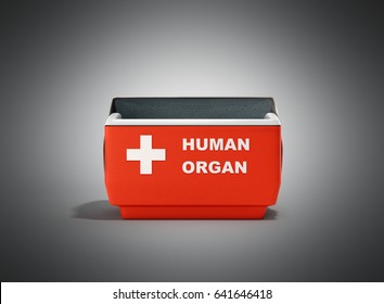 Open Human Organ Refrigerator Box Red 3d Render On Grey