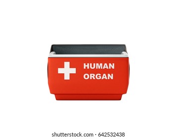 Open Human Organ Refrigerator Box Red 3d Render No Shadow