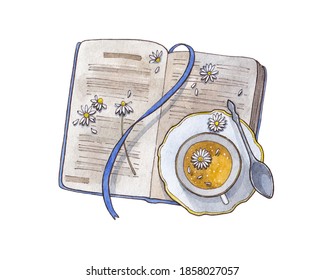 Open old vintage book and cup of camomile tea isolated on white watercolor hand drawn illustration flat lay top view teacup teatime reading card
