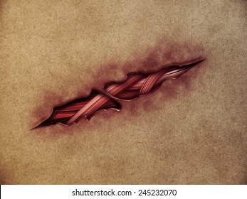 Ripped Skin Images Stock Photos Vectors Shutterstock