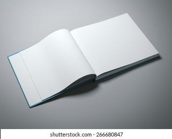 Opened book with blank pages 