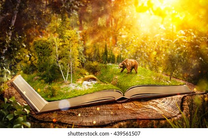 Opened book with wild forest and bear on pages. Endangered-species list. Unusual creative 3D illustration. Wild life concept - Powered by Shutterstock