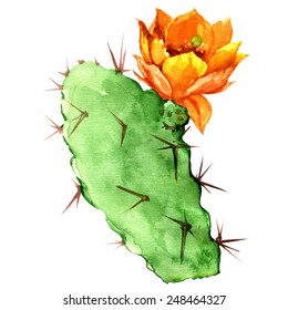 Opuntia Cactus With Yellow Flower, Watercolor Painting