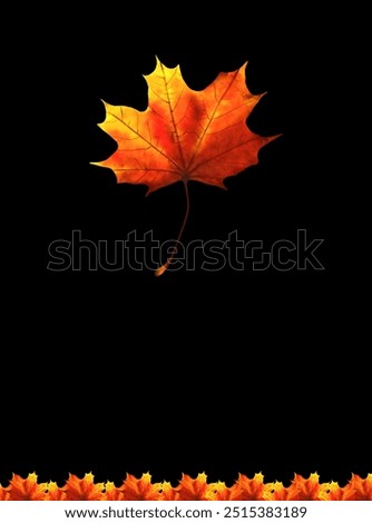 Similar – Image, Stock Photo The sheet 33 Maple tree