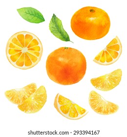 Orange Citrus Slice Leaves Watercolor Illustration