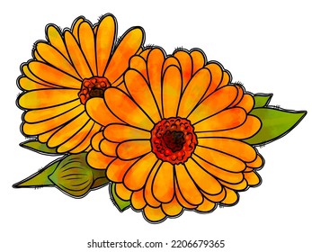 Orange Flower Water Color Yellow