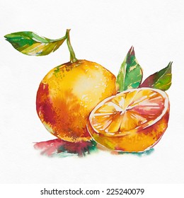 Orange Fruit Isolated On White Background. Watercolor Painting.