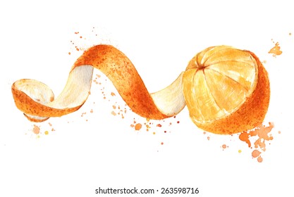 Orange Fruit With Peeled Spiral Skin Isolated, Watercolor