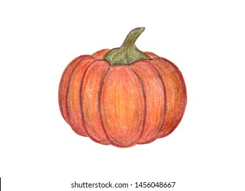 Orange pumpkin illustration  Autumn graphic icon  Isolated white background  Halloween Thanksgiving print  Colored Pencil drawing  Hand drawn fresh vegetable 