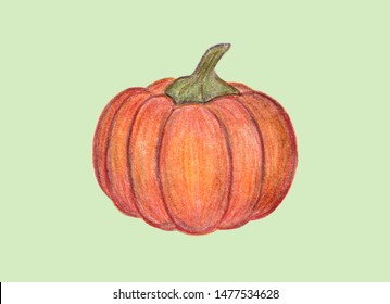 Orange pumpkin illustration isoalted light background  Autumn graphic icon  Halloween Thanksgiving print  Colored Pencil drawing  Hand drawn fresh vegetable 