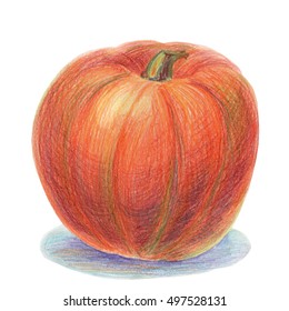 Orange round pumpkin isolated white  Colored pencil drawing  Hand  drawn crayon design for farmers  food stores  menus  agricultural fairs  green grocery shops  posters   vegetable markets 