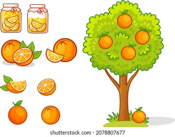 Orange Tree Fruit Jars With Orange Compote Orange Whole Half Orange Slice
