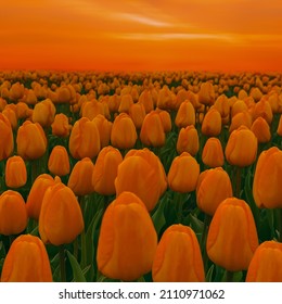 Orange tulips in an orange sunset. 3D illustration. Imitation of oil painting.