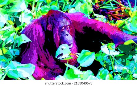 Orangutans sign illustration pop-art background icon with vivid color spots