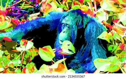 Orangutans sign illustration pop-art background icon with vivid color spots