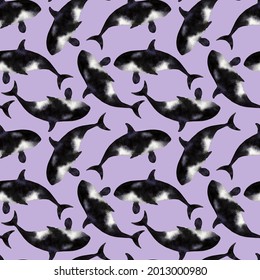 Orca Killer Whales Seamless Pattern Orca Stock Illustration 2013000980 ...